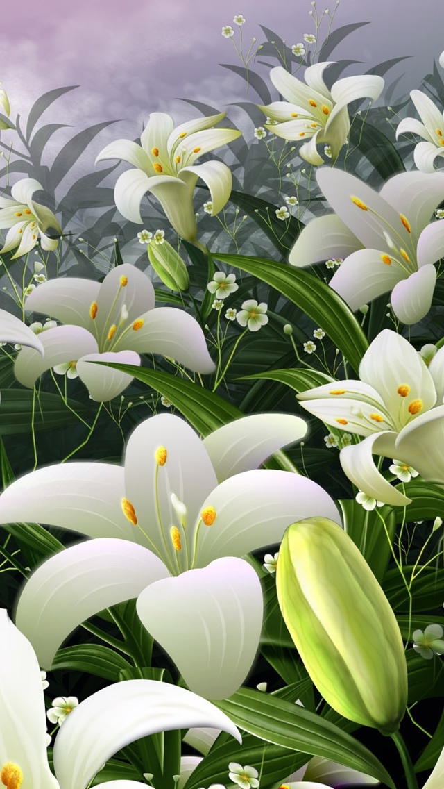 white lilly flowers iphone wallpaper 640*1136