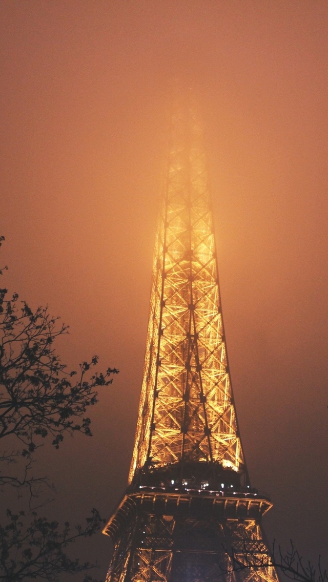 Fog Paris at night iPhone 5 wallpaper 640*1136