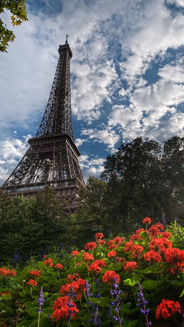 Red flowers and Tower in backgorund in Paris iPhone 5 wallpaper 640*1136