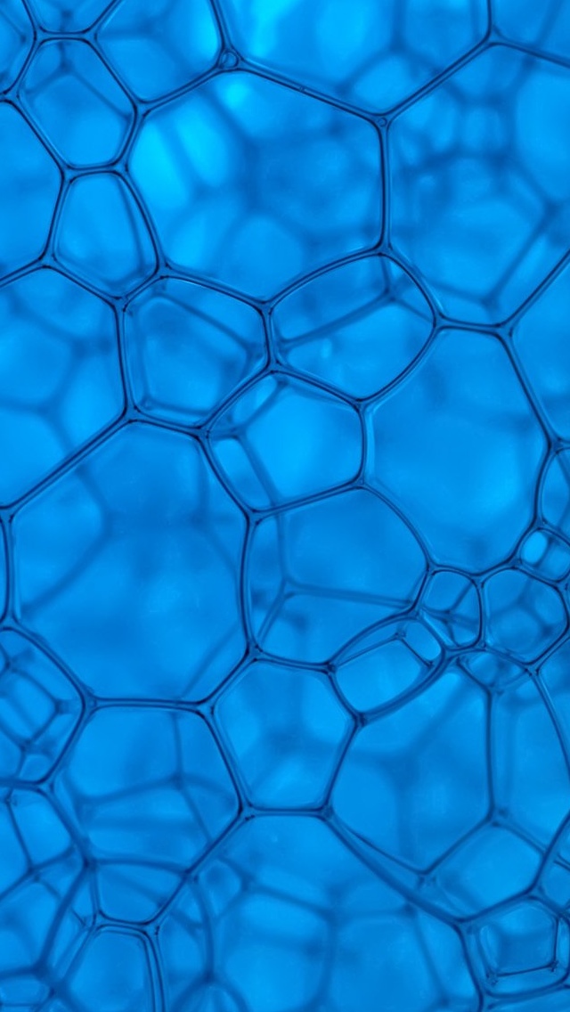 Blue cells Texture Wallpaper iPhone 5 640*1136