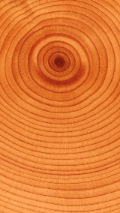 surface-of-wood-background-iphone-5