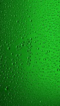 dew drops on green backgorund